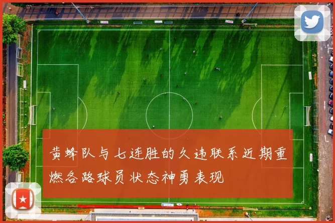 黄蜂队与七连胜的久违联系近期重燃各路球员状态神勇表现
