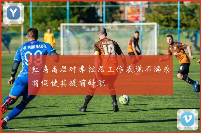 红鸟高层对弗拉尼工作表现不满或将促使其提前辞职