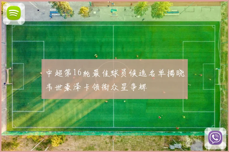 中超第16轮最佳球员候选名单揭晓韦世豪泽卡领衔众星争辉